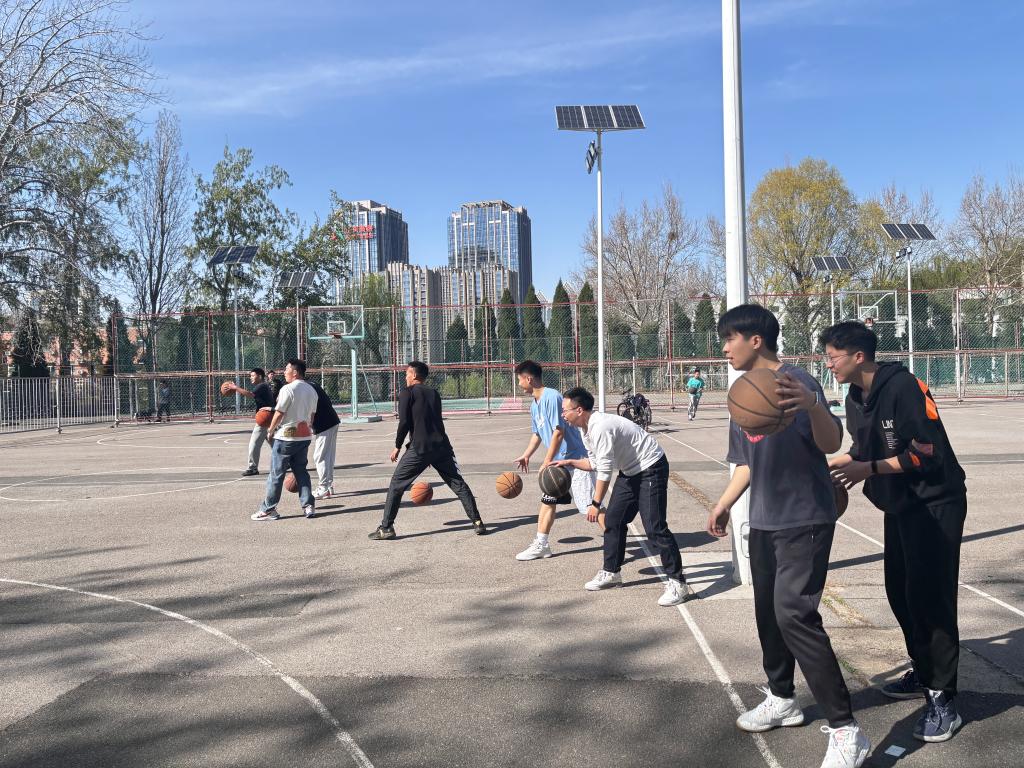 网上赌场
