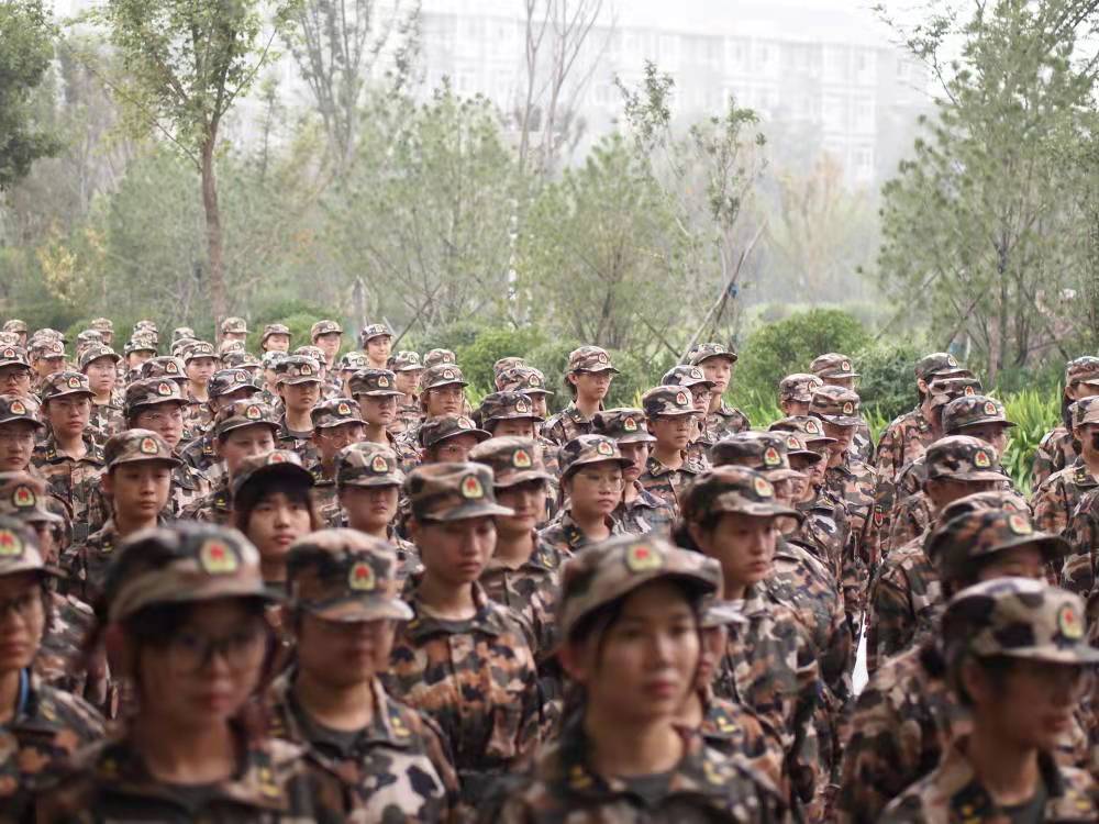 网上赌场