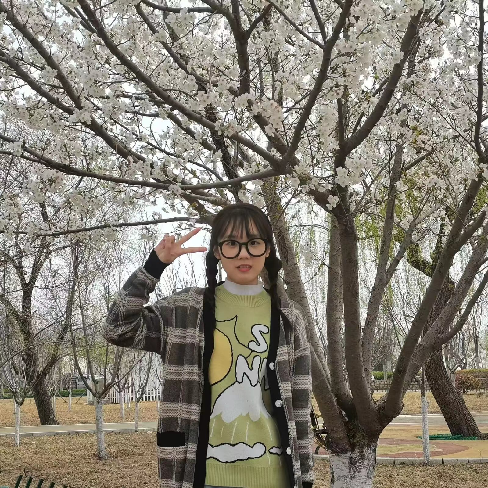 网上赌场
