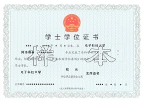 网上赌场