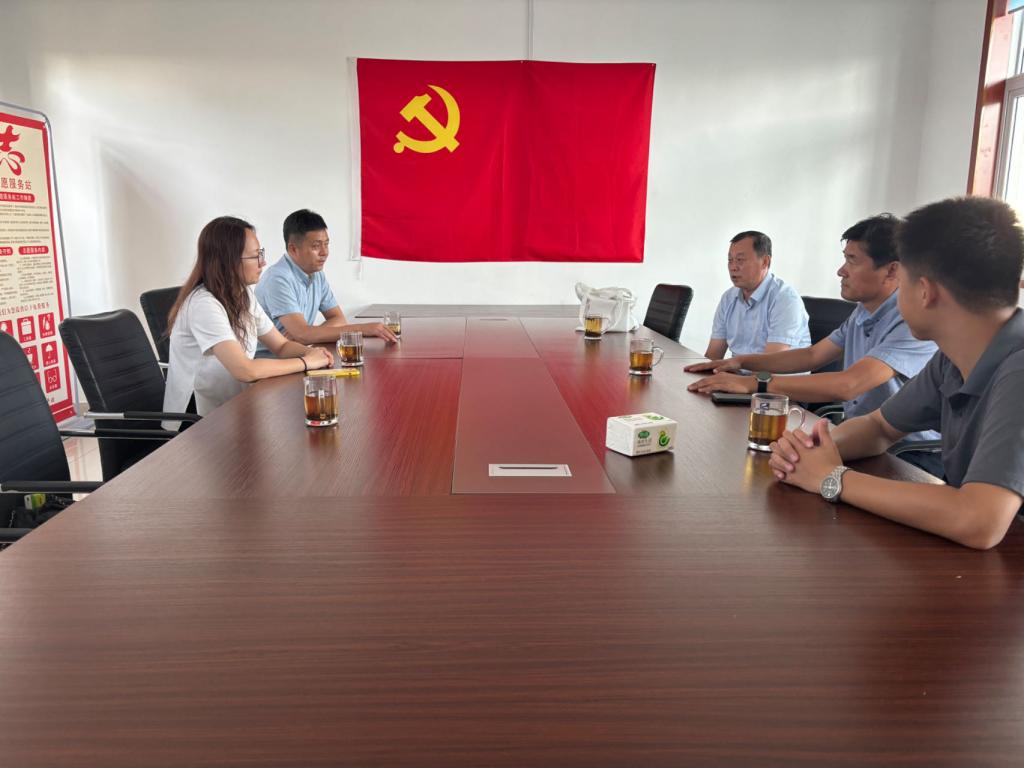 网上赌场
