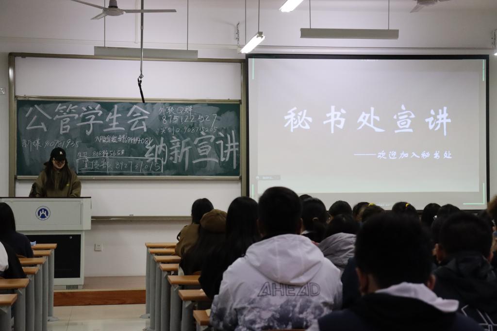 网上赌场