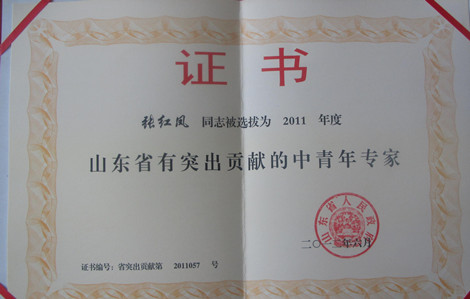 网上赌场