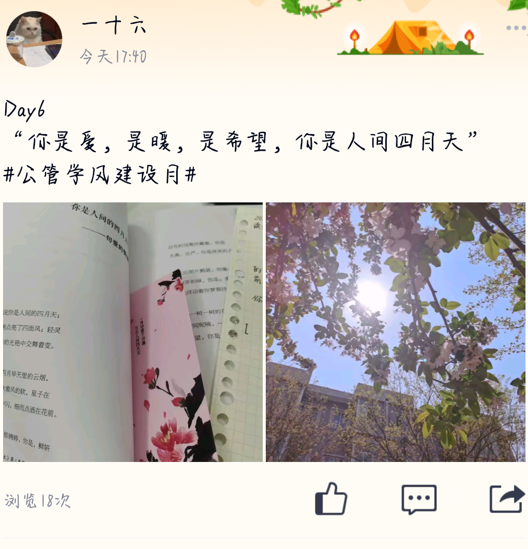 网上赌场