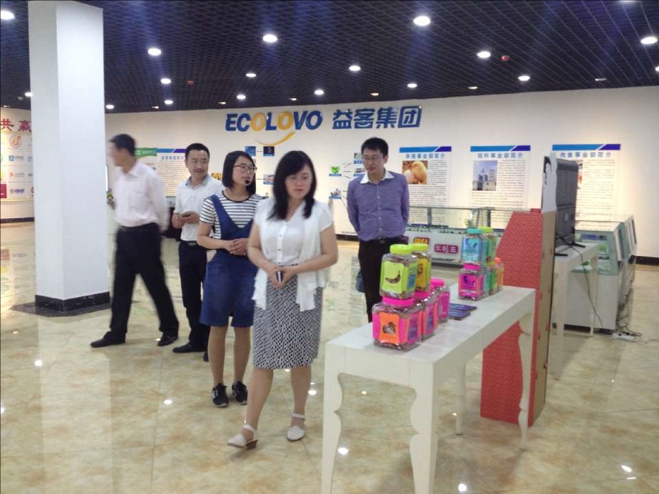 网上赌场