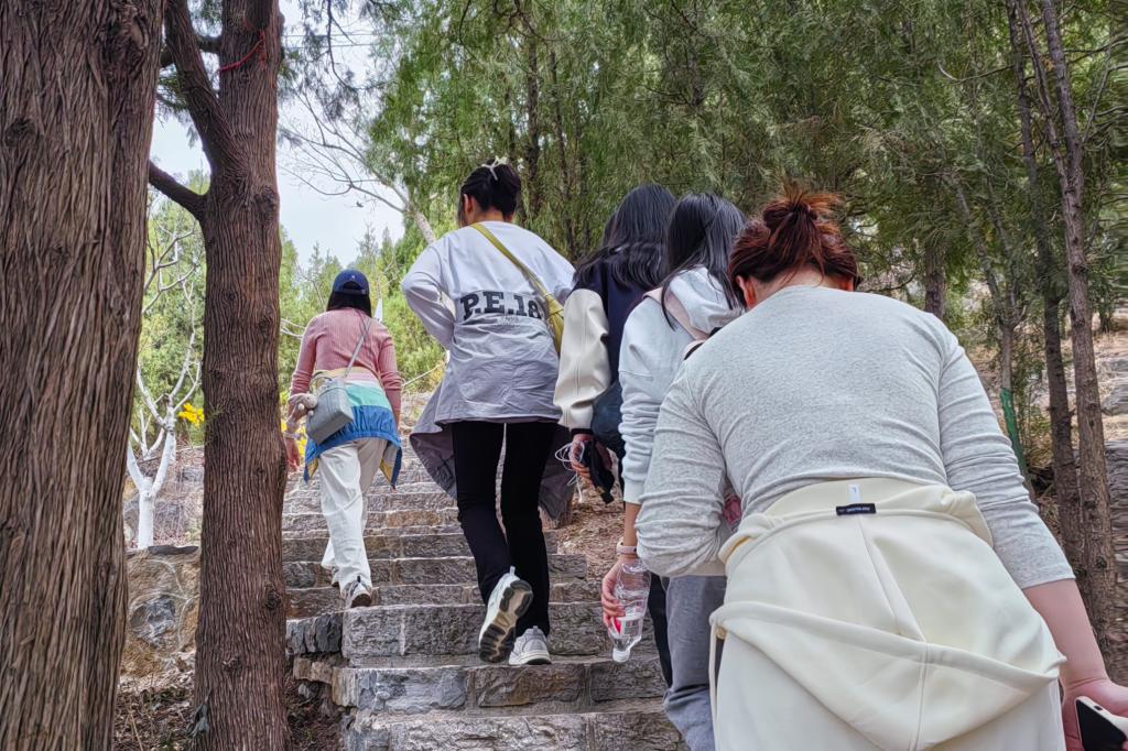 网上赌场
