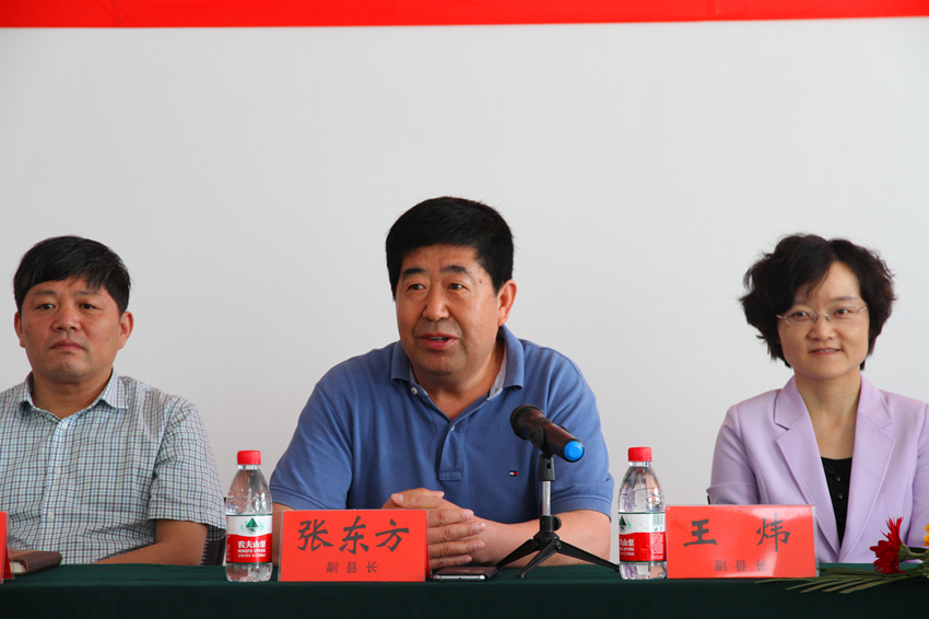 网上赌场