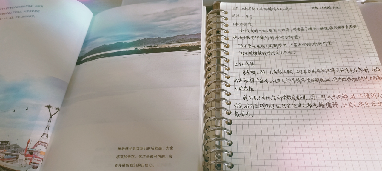 网上赌场
