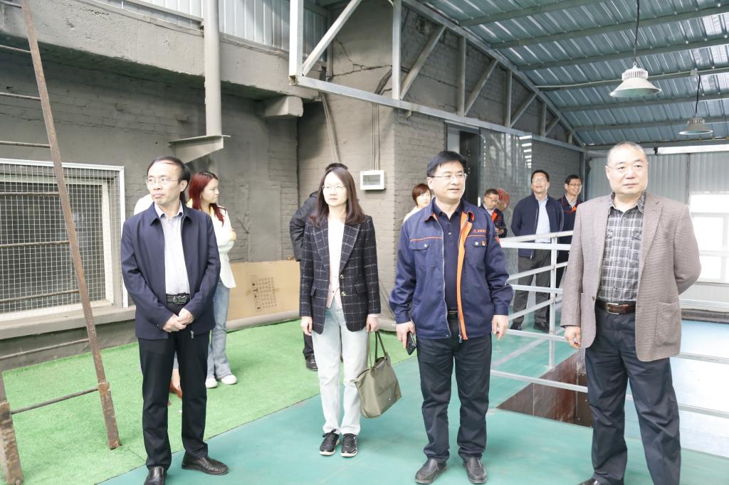 网上赌场