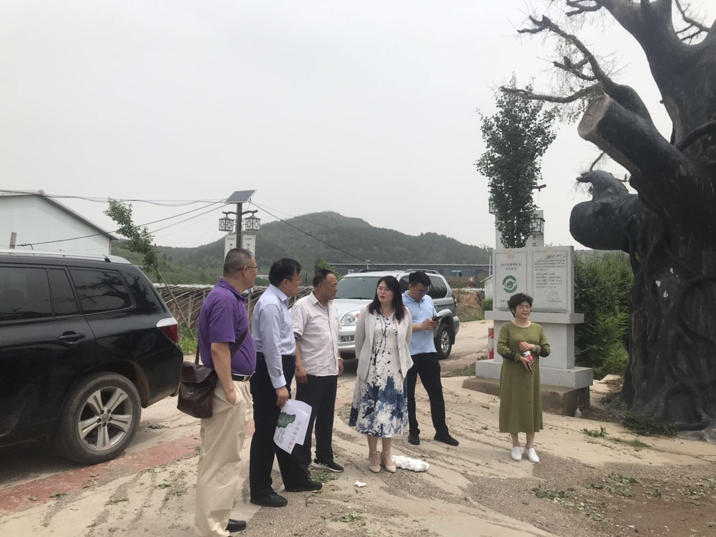 网上赌场