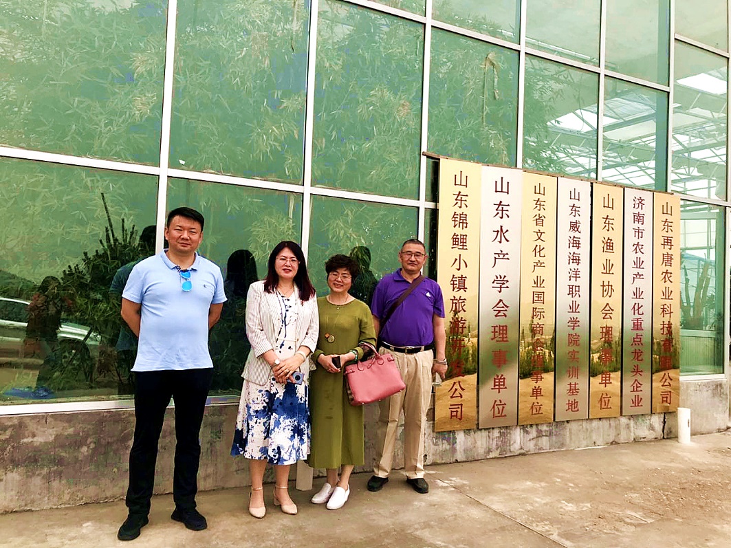 网上赌场