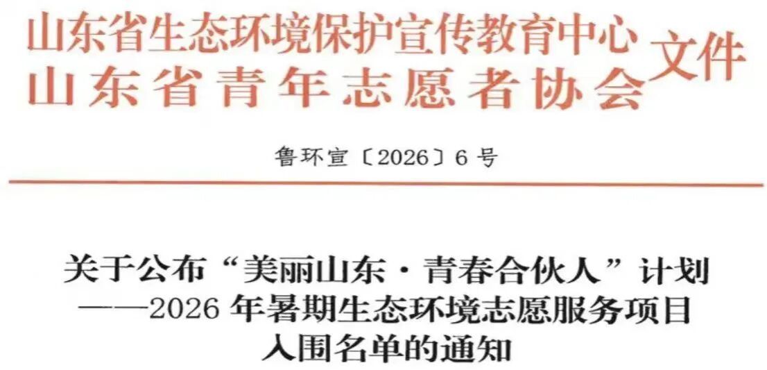网上赌场