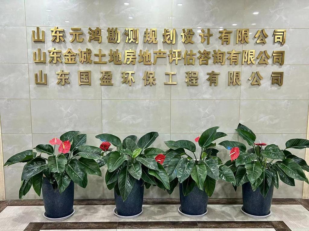 网上赌场
