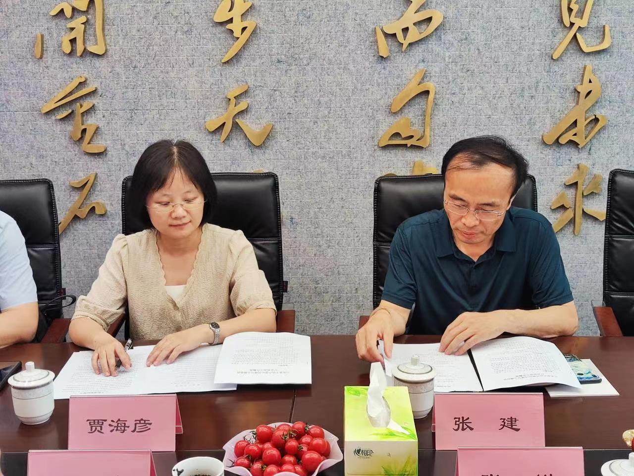 网上赌场