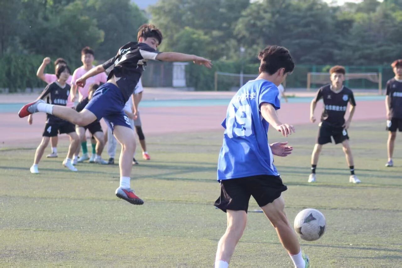 网上赌场