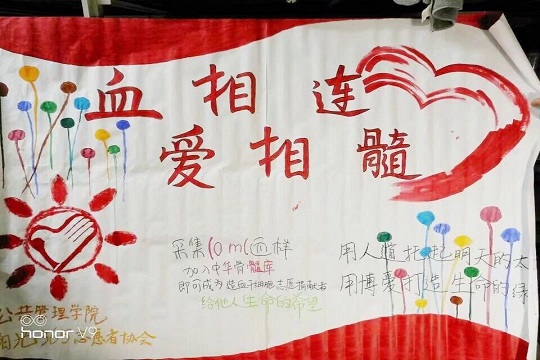 网上赌场