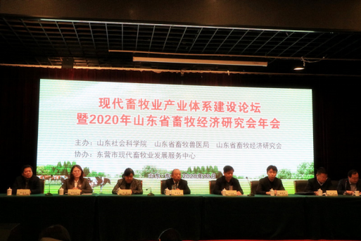 网上赌场