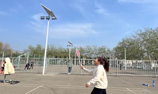网上赌场