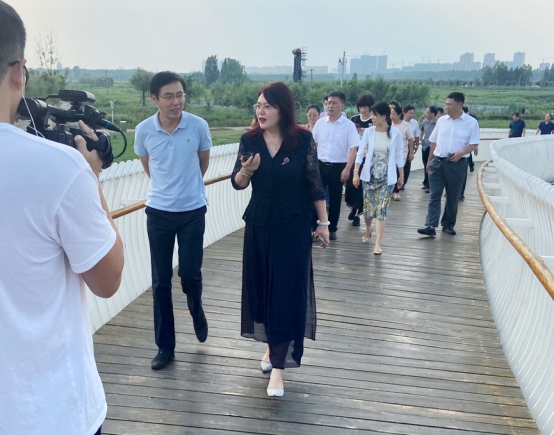 网上赌场
