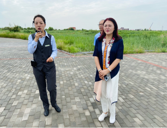 网上赌场