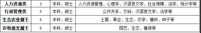 网上赌场