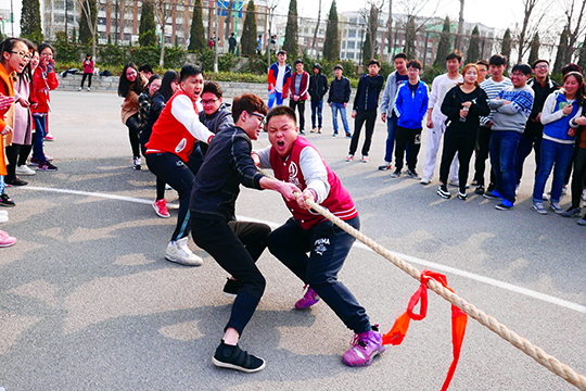 网上赌场
