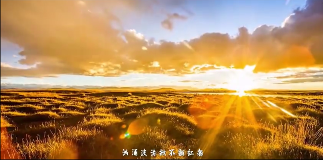 网上赌场